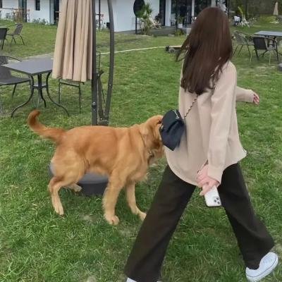 女仆们